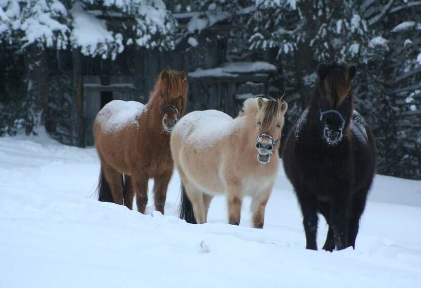 Dalseter Fjellhotell