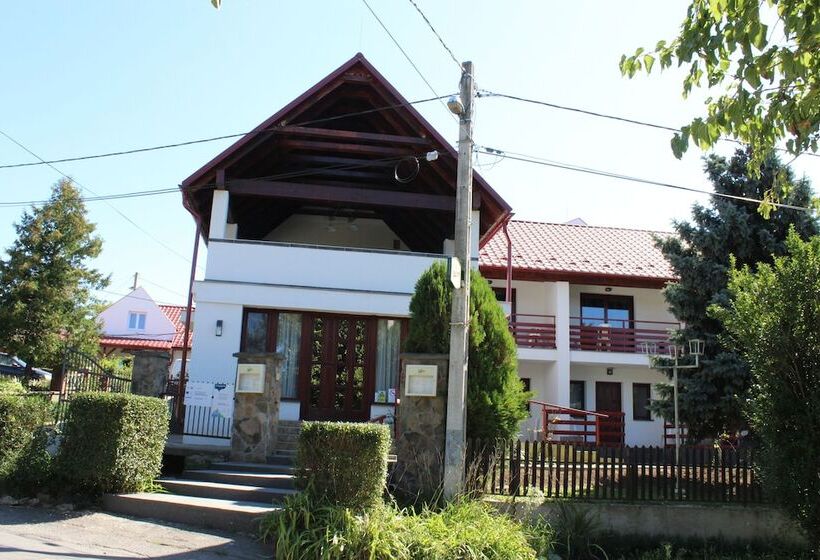 簡易ホテル Aranyhordó Panzió étterem és Pizzéria