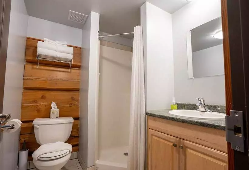 ホテル Basecamp Lodge Golden