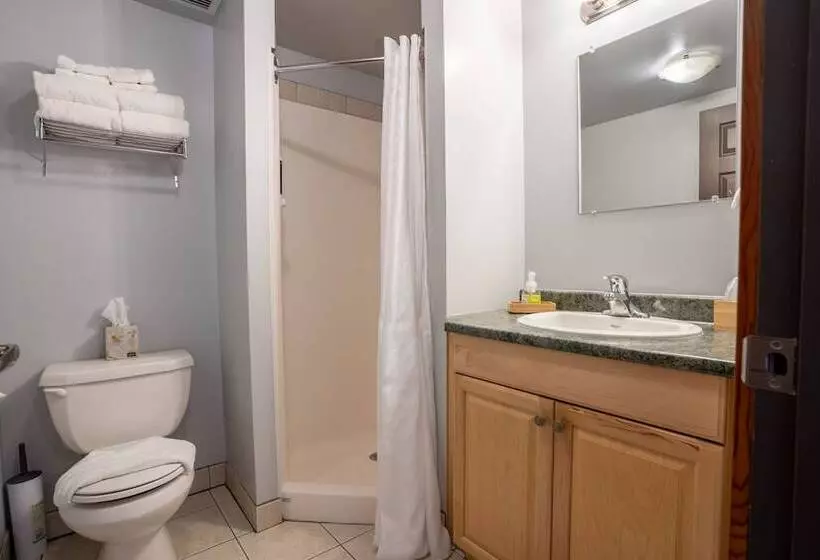 ホテル Basecamp Lodge Golden