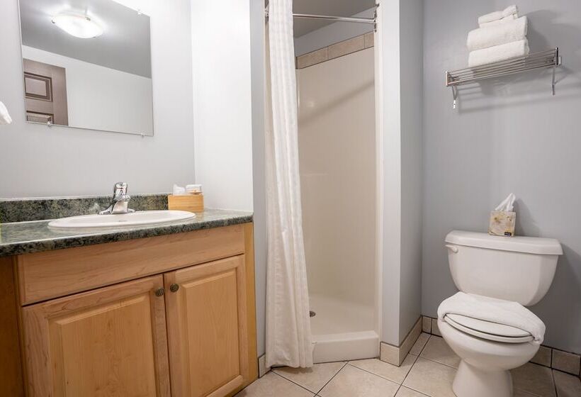 호텔 Basecamp Lodge Golden