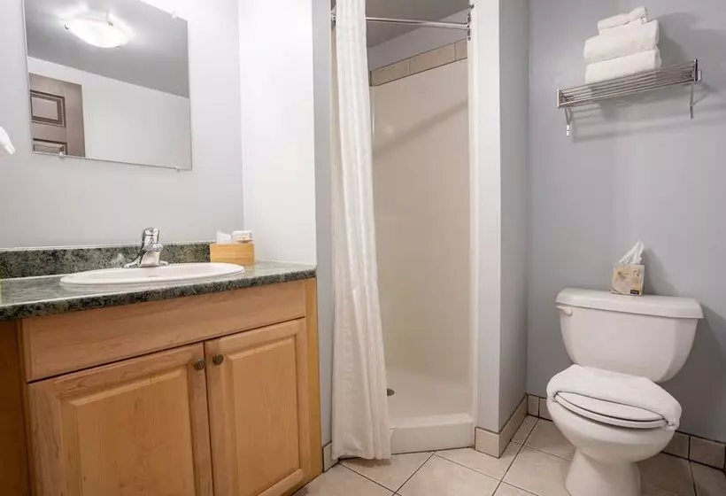 ホテル Basecamp Lodge Golden