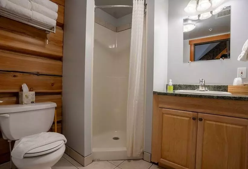 ホテル Basecamp Lodge Golden