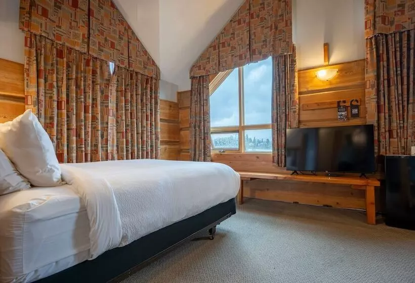 ホテル Basecamp Lodge Golden