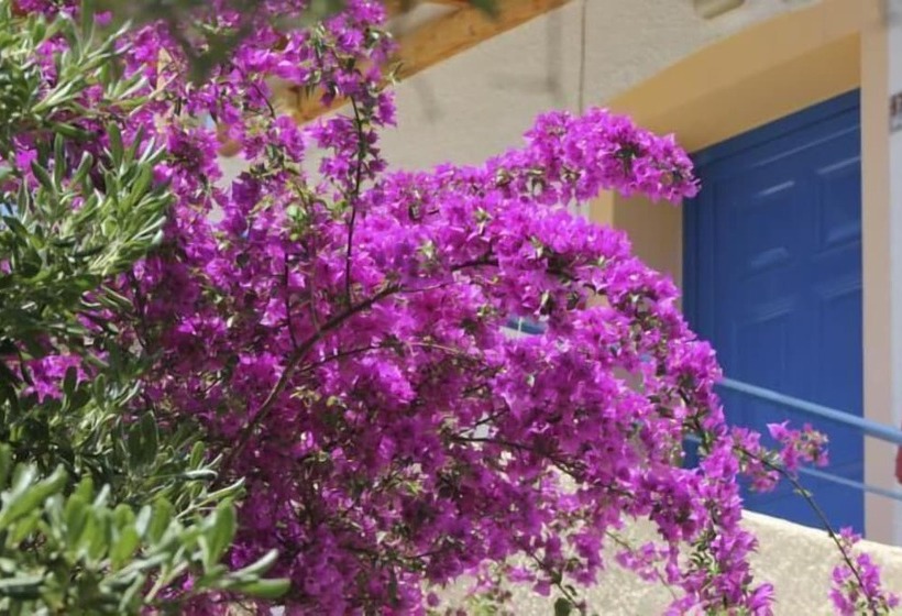 Отель Katerina S Bungalows