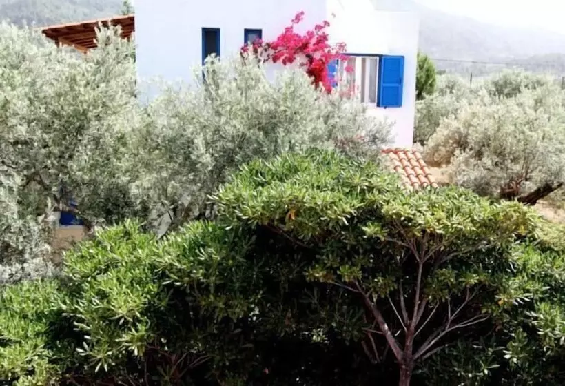 ホテル Katerina S Bungalows