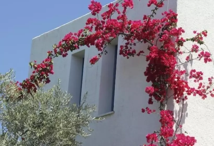 ホテル Katerina S Bungalows