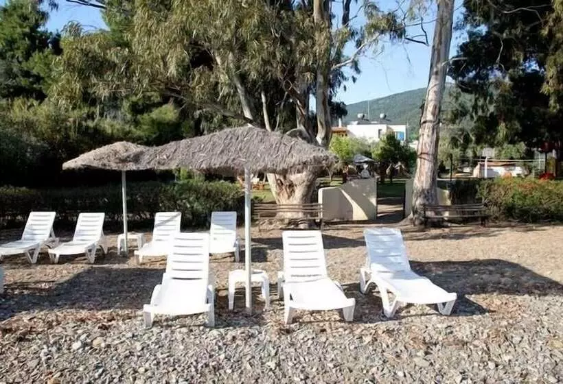 ホテル Katerina S Bungalows