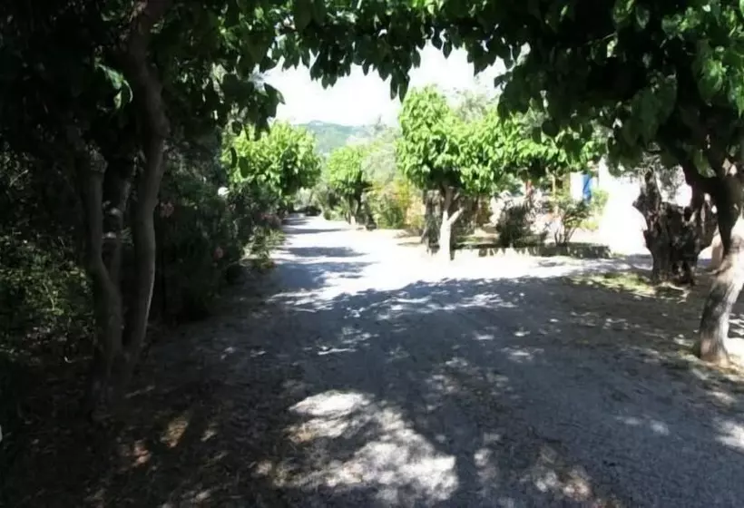 ホテル Katerina S Bungalows