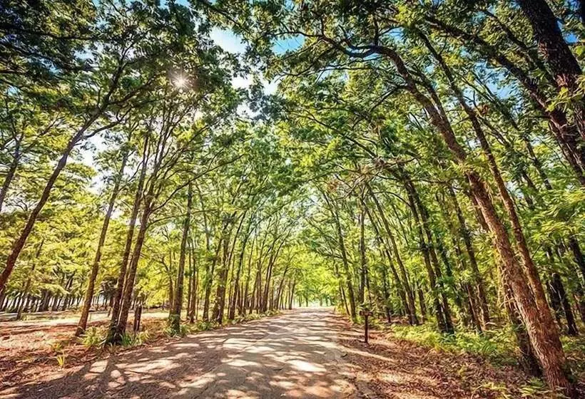 ホテル Lake Tawakoni Rv Campground