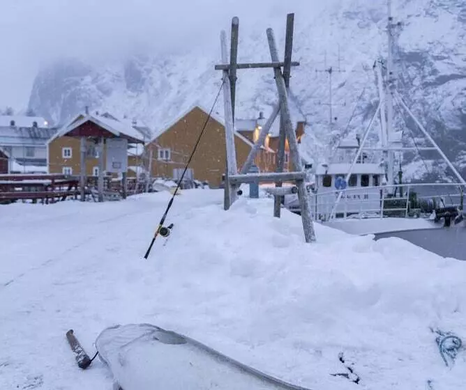 ホテル Lofoten Cottages