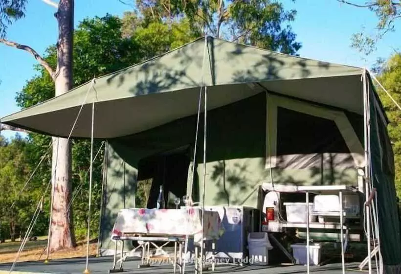 Hotelli Mt Barney Lodge Country Retreat