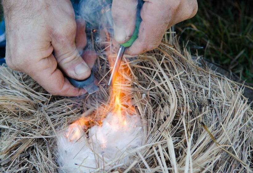 ホテル Mt Barney Lodge Country Retreat