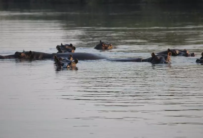 هتل Ndhovu Safari Lodge   Campground