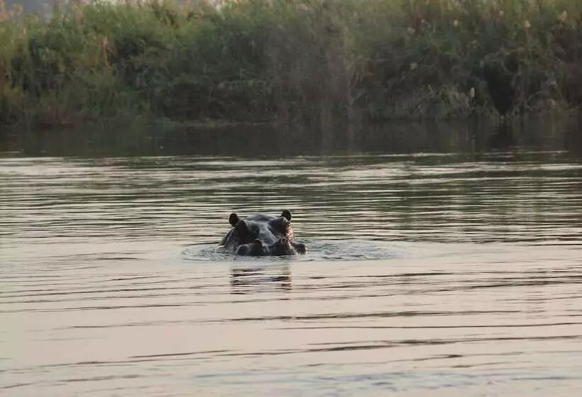 هتل Ndhovu Safari Lodge   Campground