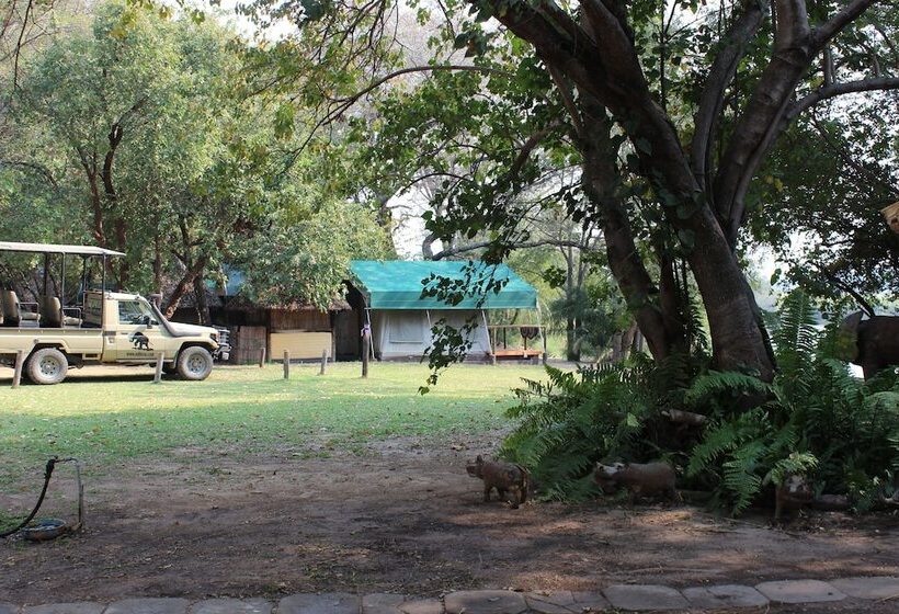 酒店 Ndhovu Safari Lodge   Campground