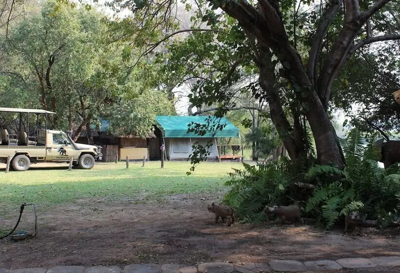 هتل Ndhovu Safari Lodge   Campground