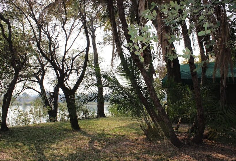 酒店 Ndhovu Safari Lodge   Campground