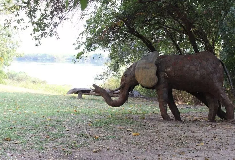 هتل Ndhovu Safari Lodge   Campground