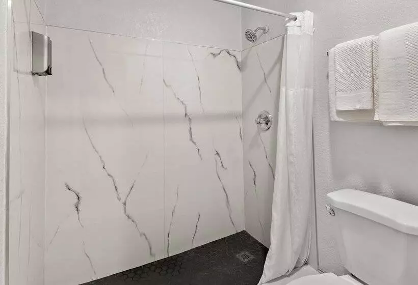 ホテル Rodeway Inn