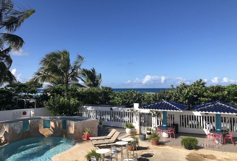 پانسیون The Beach Guesthouse