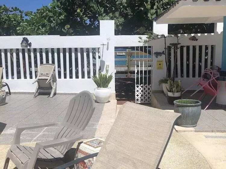 پانسیون The Beach Guesthouse