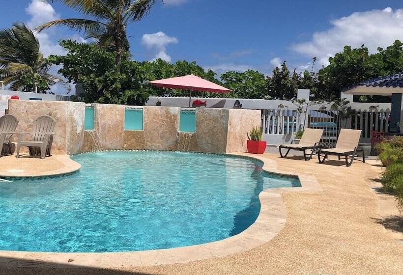 پانسیون The Beach Guesthouse