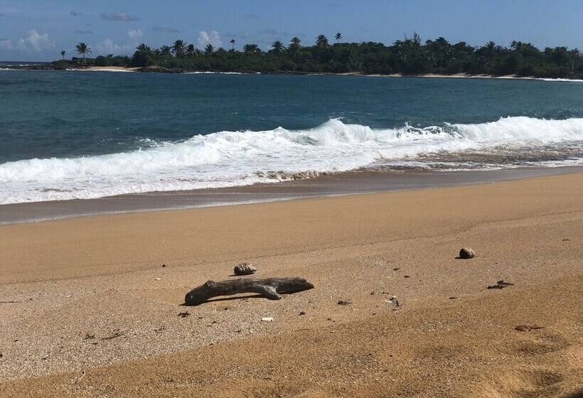 پانسیون The Beach Guesthouse