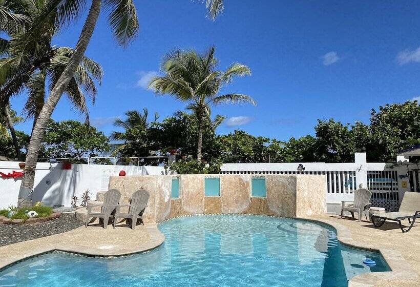 پانسیون The Beach Guesthouse