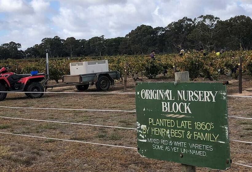 리조트 Lake Fyans Holiday Park