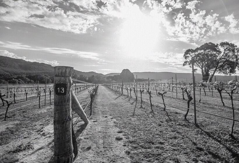 리조트 Lake Fyans Holiday Park