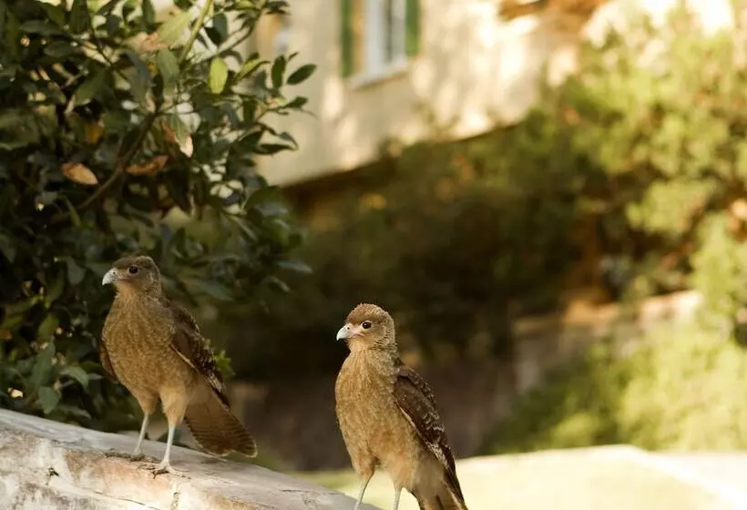 Termas Jahuel Hotel & Spa