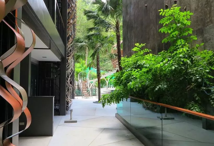 The Emerald Terrace Patong By Golden Legal