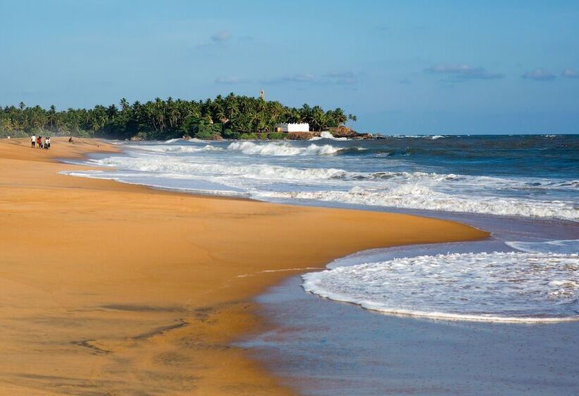 酒店 Arabella On Boossa