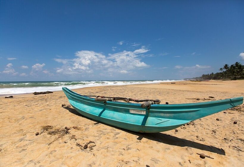 酒店 Arabella On Boossa