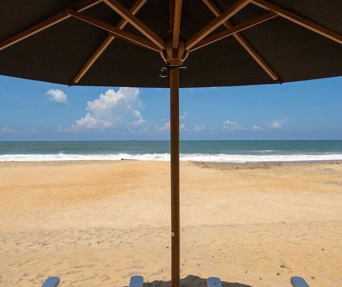 酒店 Arabella On Boossa