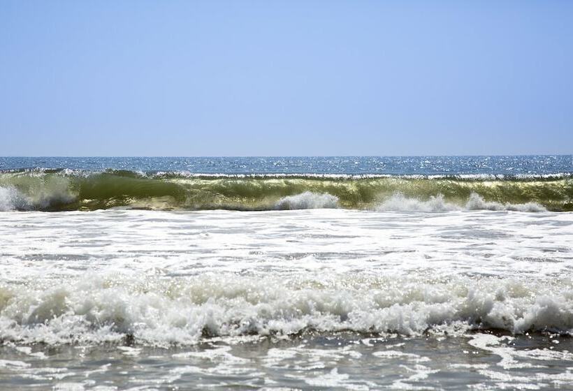 酒店 Arabella On Boossa