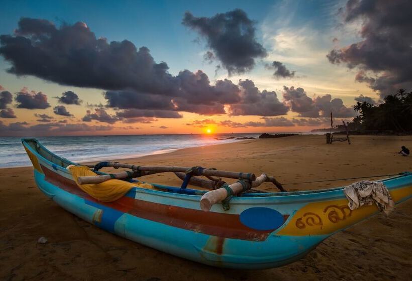 酒店 Arabella On Boossa