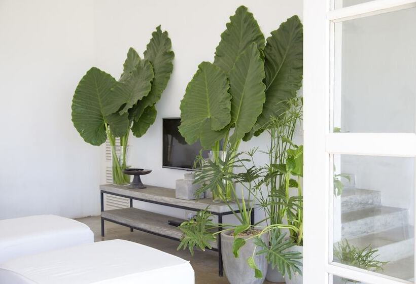 酒店 Arabella On Boossa