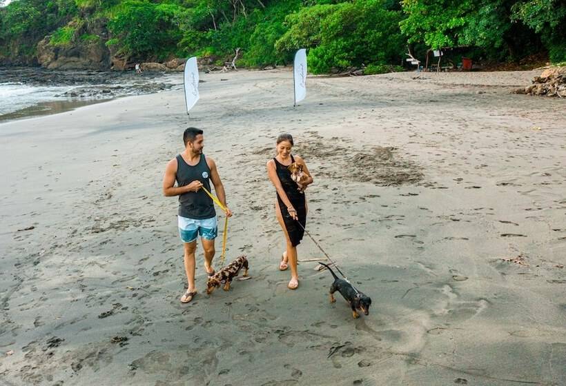 호텔 Condovac La Costa