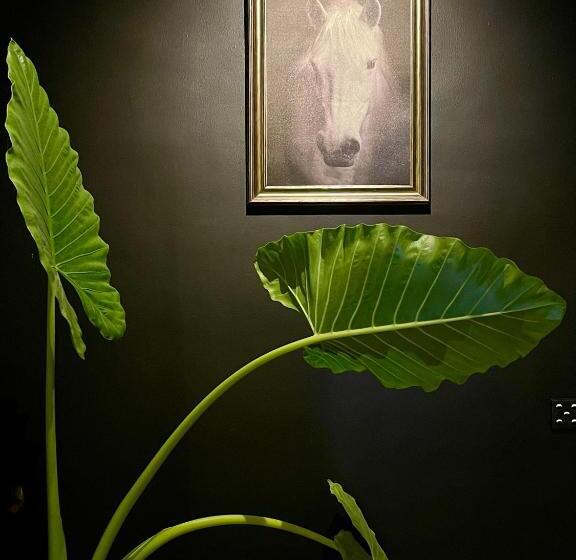 Olanro Hotel Negombo