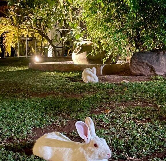 Olanro Hotel Negombo