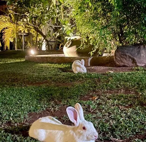 Olanro Hotel Negombo