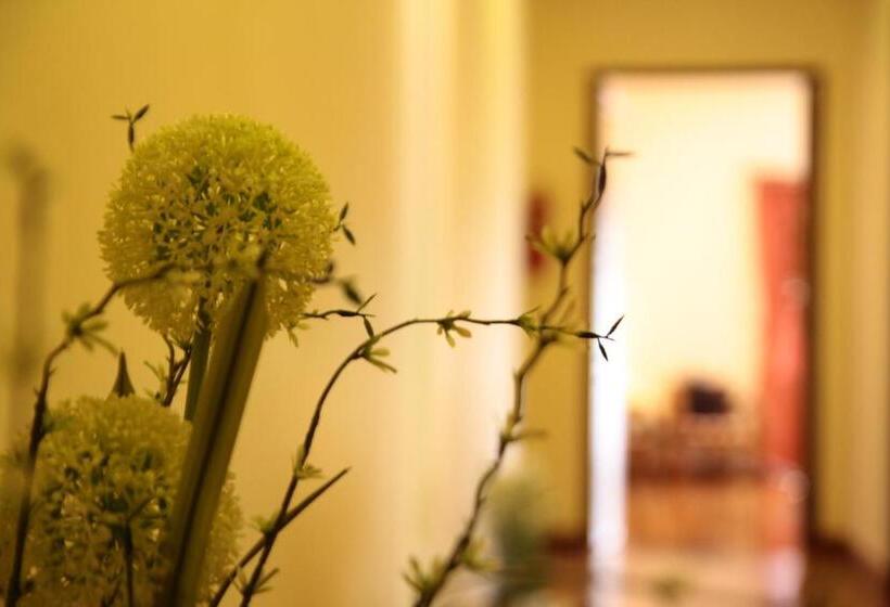 בית מלון כפרי Rustic River Boutique