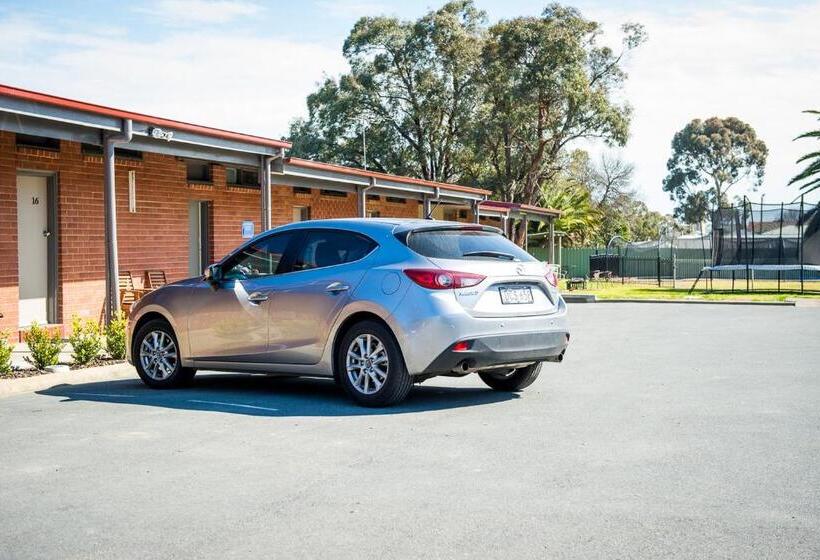 מוטל Cherry Blossom Motor Inn