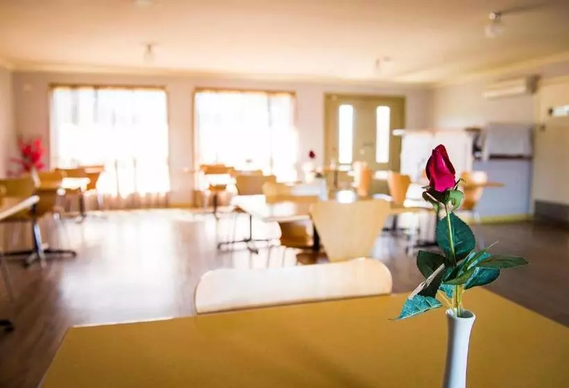 汽车旅馆 Cherry Blossom Motor Inn