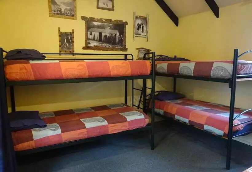 Glow Worm Accommodation   Hostel