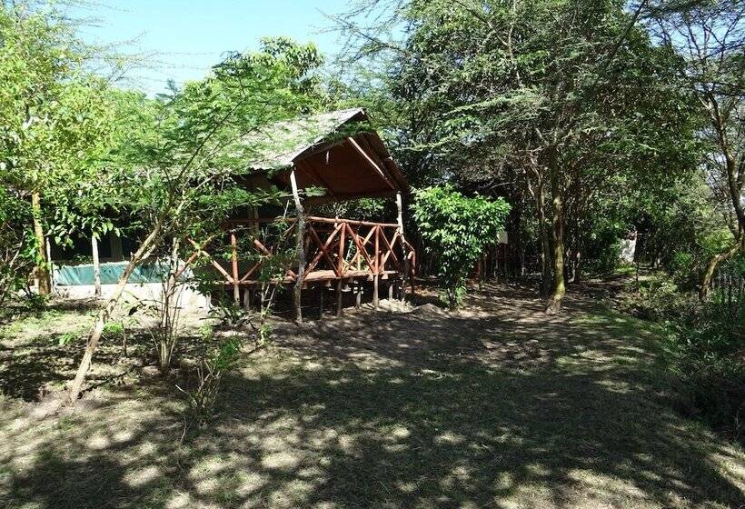 هتل Mara Maisha Camp