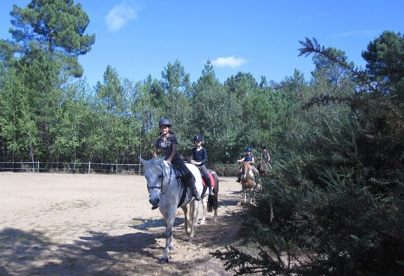 Hotel Manoir Du Grand Vignoble