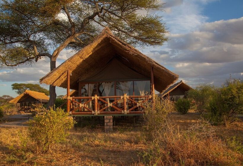 هتل Tarangire Simba Lodge
